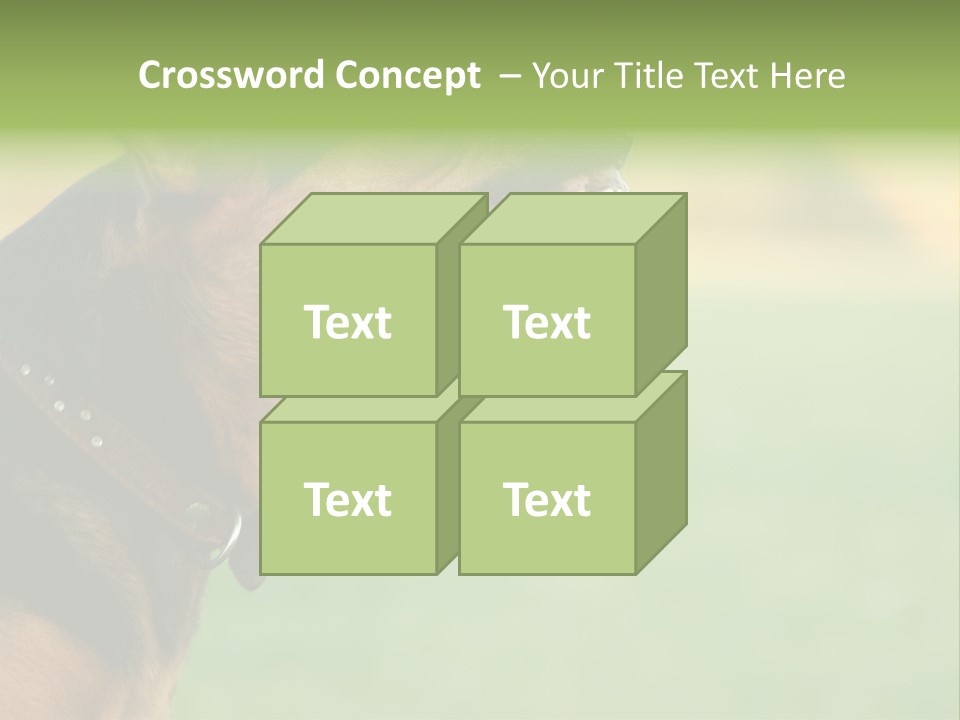 Angry Ear Savage PowerPoint Template