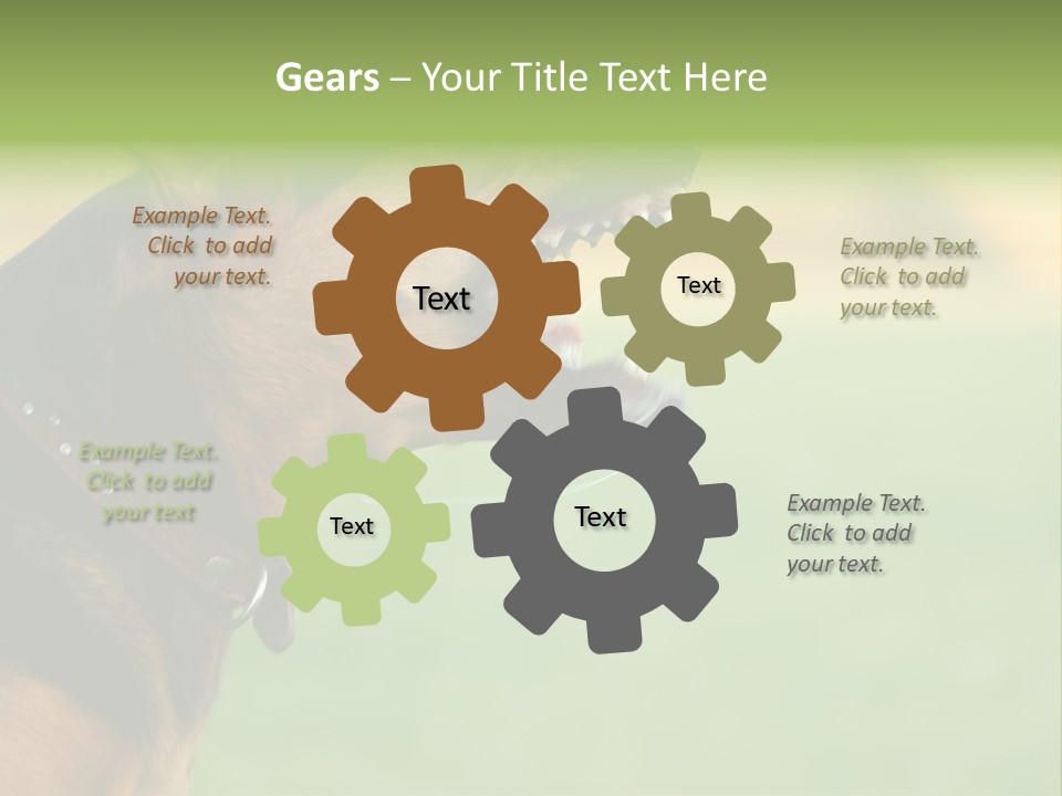 Angry Ear Savage PowerPoint Template