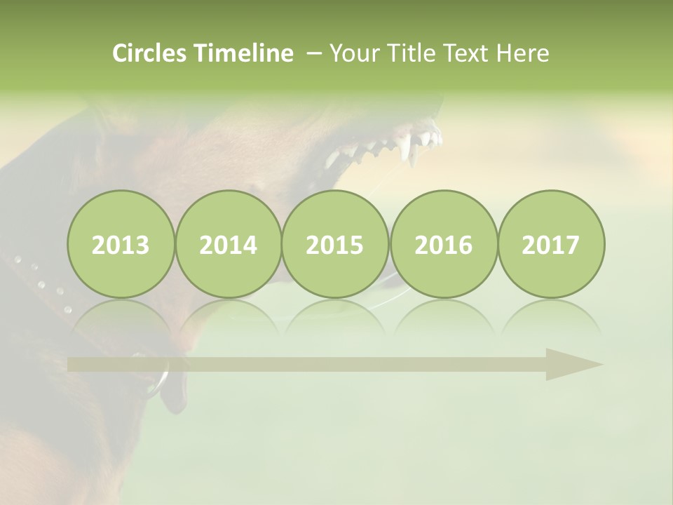 Angry Ear Savage PowerPoint Template