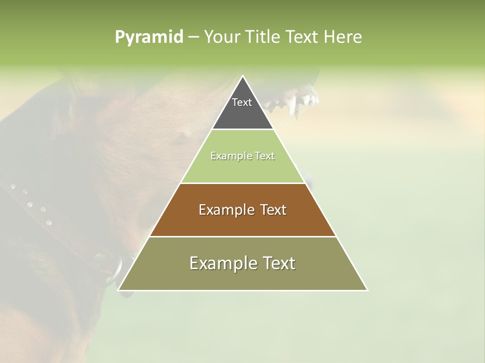 Angry Ear Savage PowerPoint Template