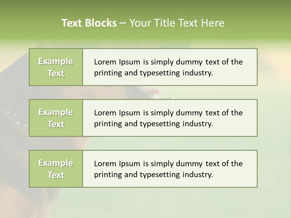 Angry Ear Savage PowerPoint Template