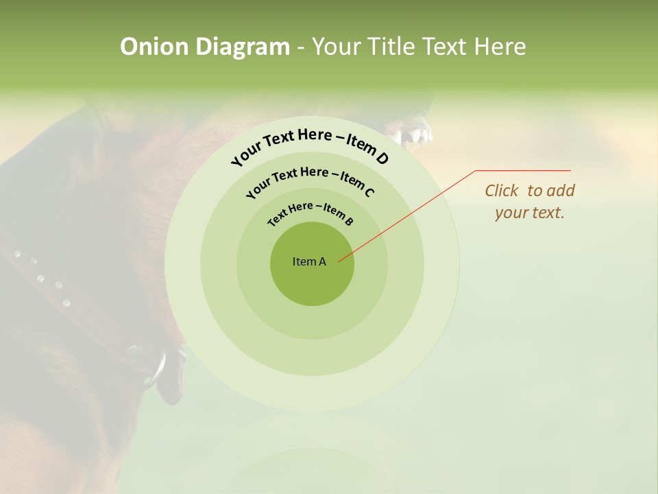 Angry Ear Savage PowerPoint Template