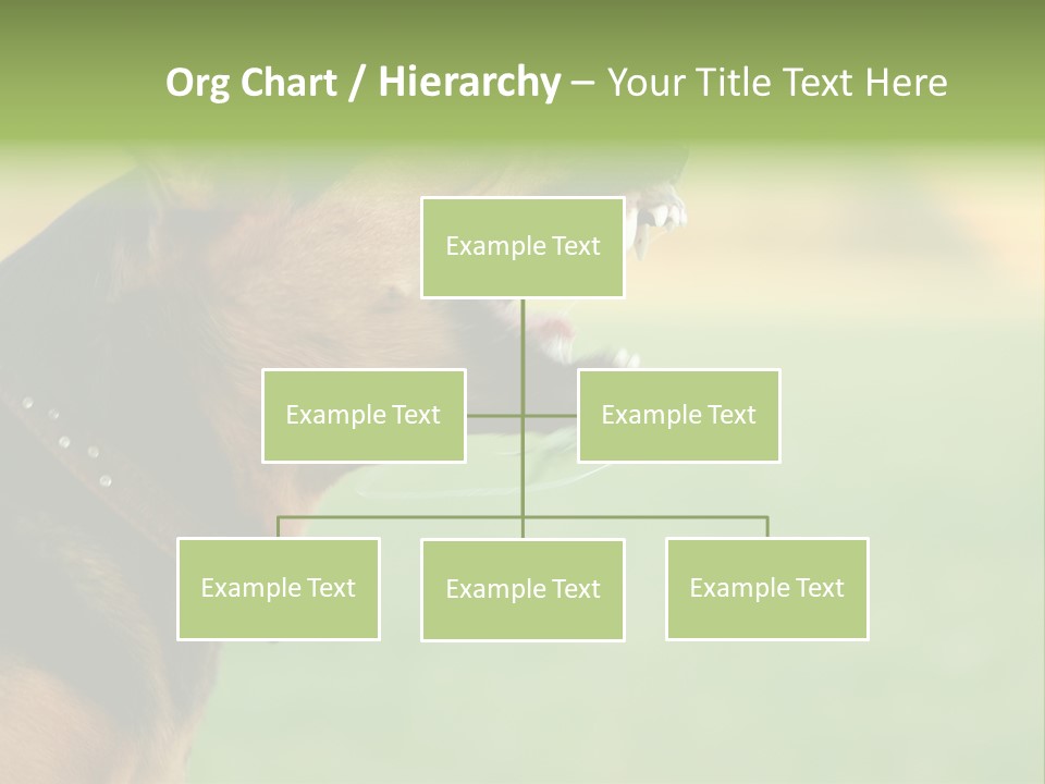 Angry Ear Savage PowerPoint Template