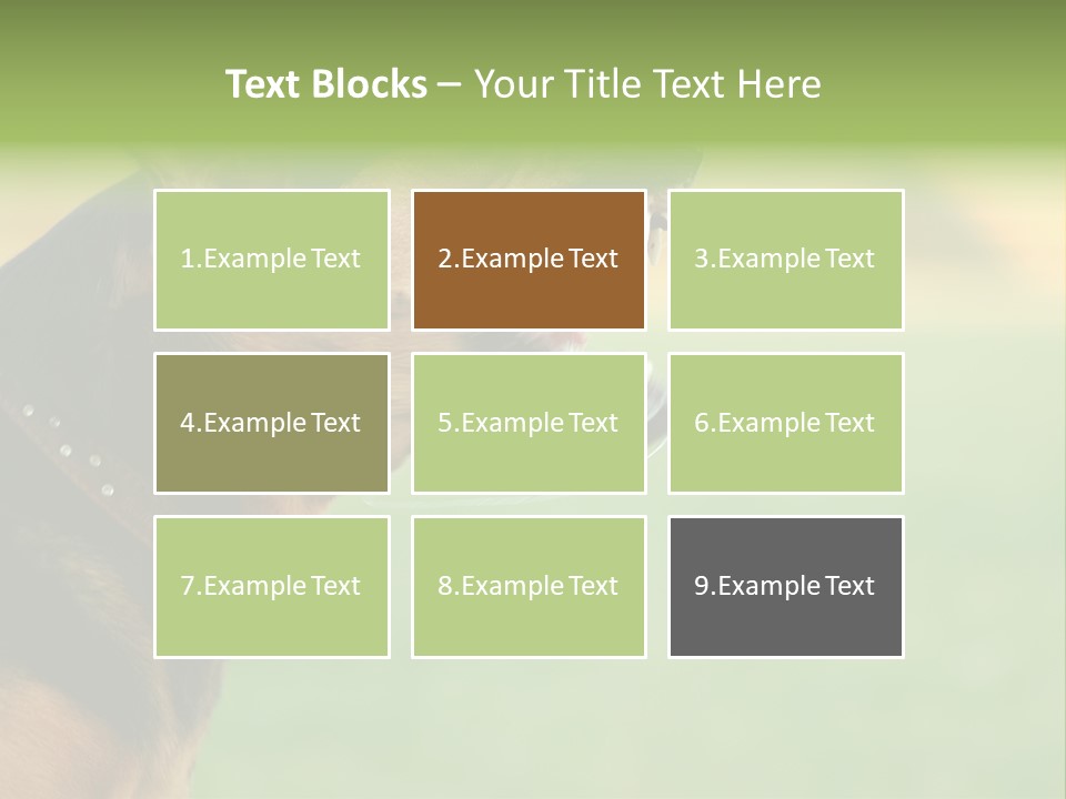 Angry Ear Savage PowerPoint Template