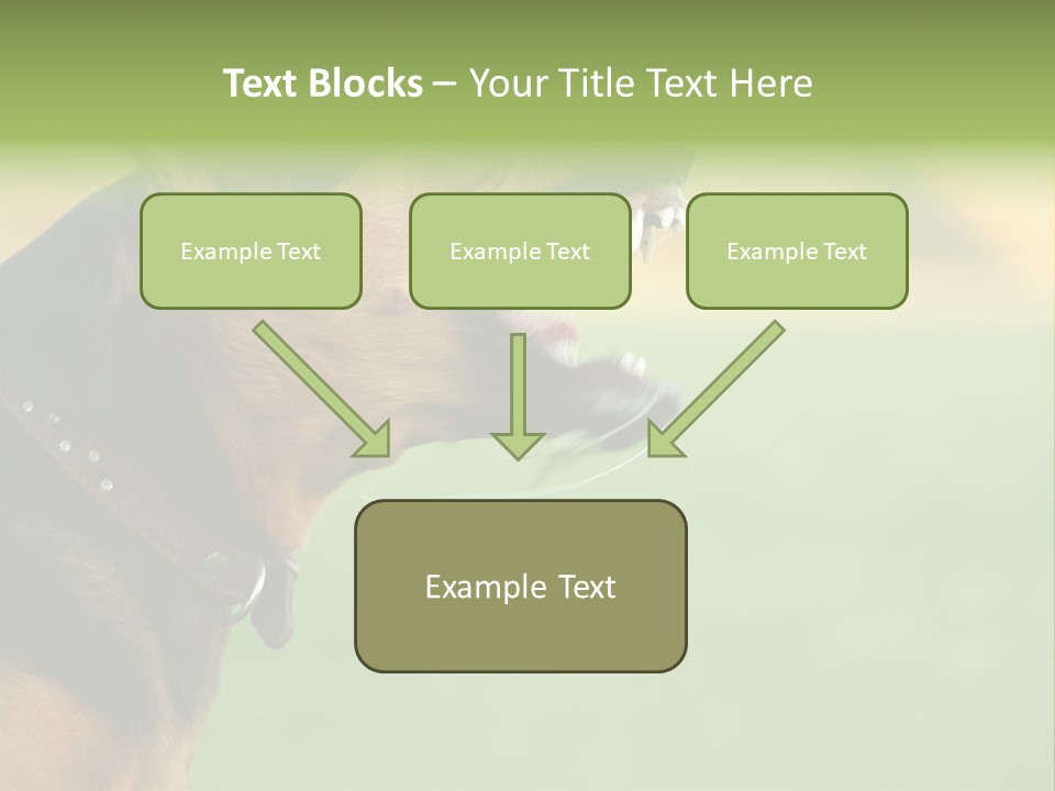 Angry Ear Savage PowerPoint Template