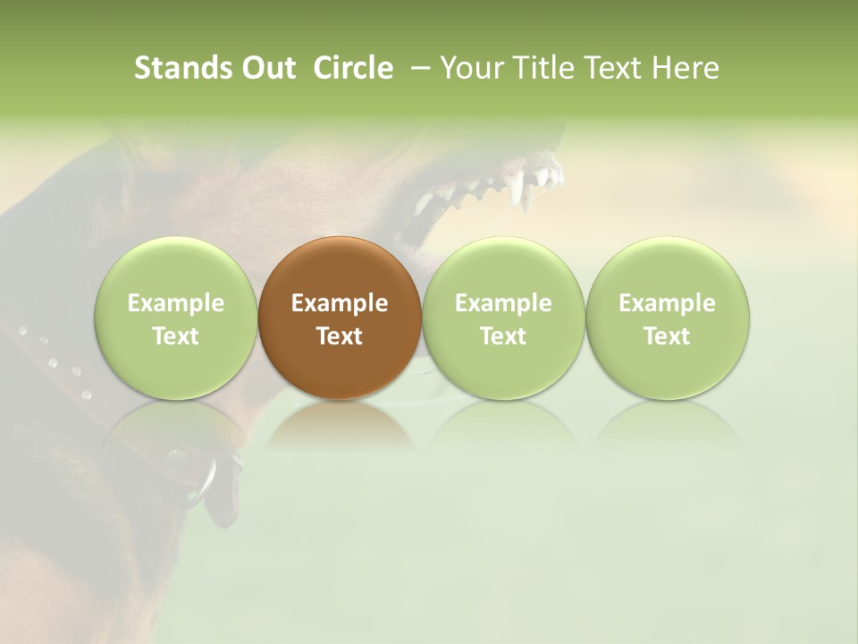 Angry Ear Savage PowerPoint Template