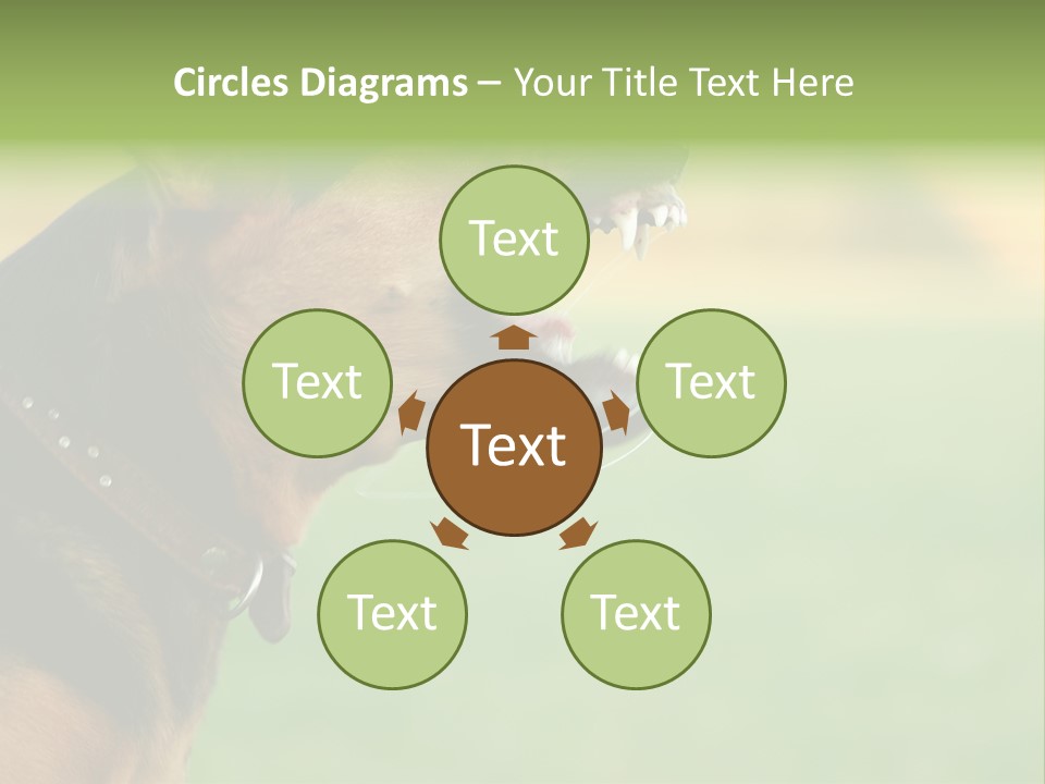 Angry Ear Savage PowerPoint Template