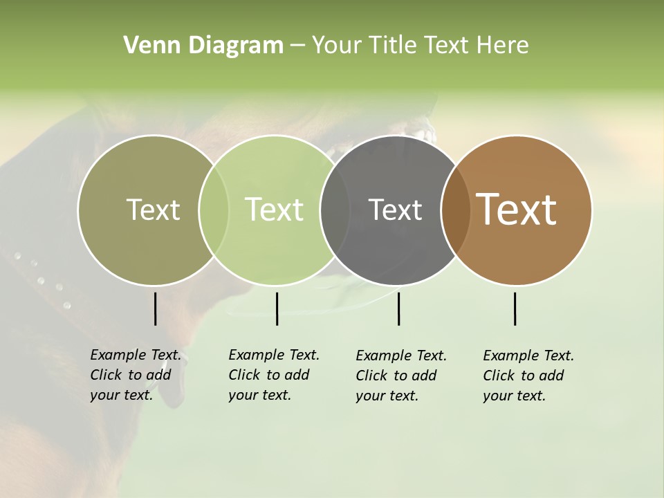 Angry Ear Savage PowerPoint Template