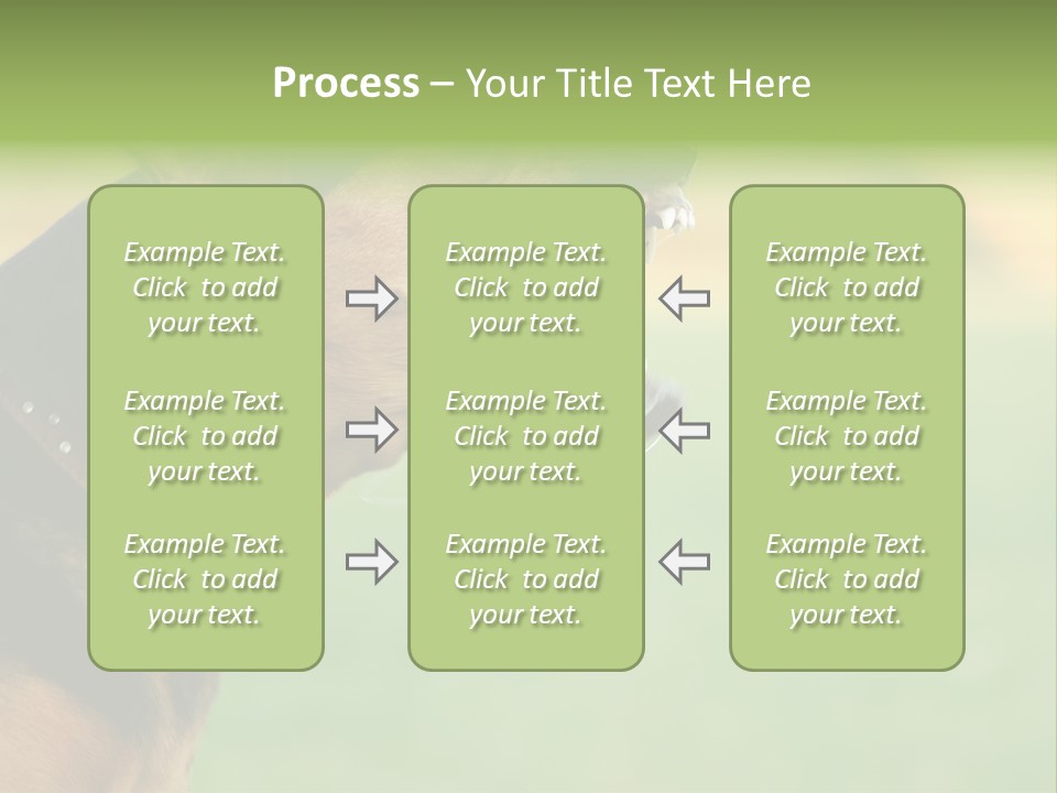 Angry Ear Savage PowerPoint Template