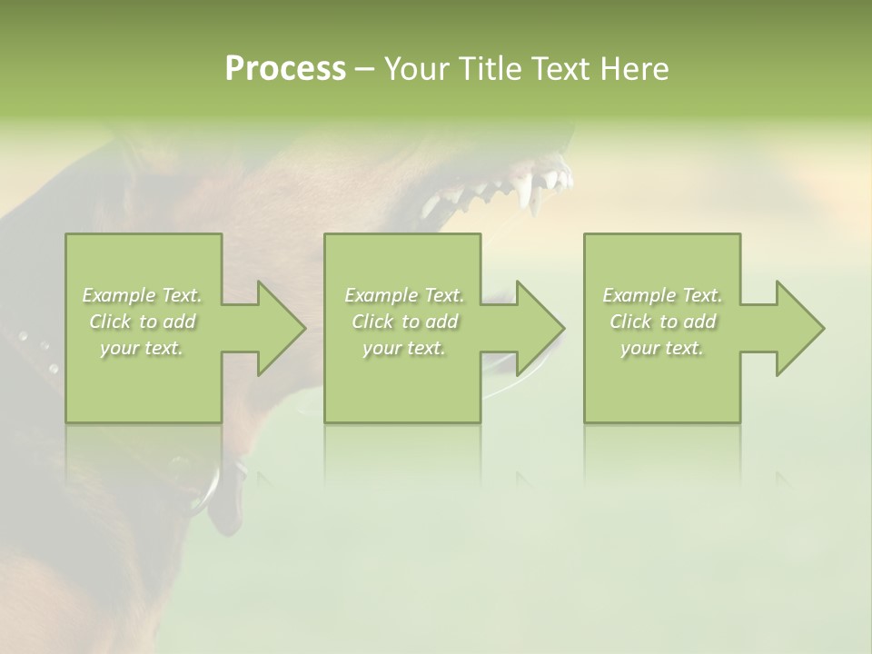 Angry Ear Savage PowerPoint Template