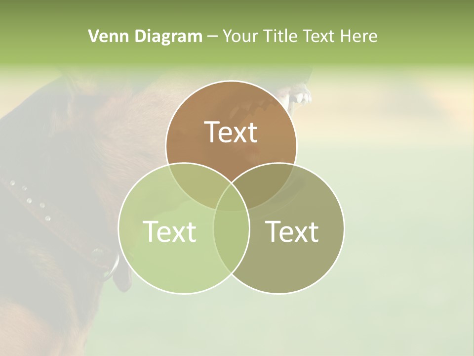 Angry Ear Savage PowerPoint Template