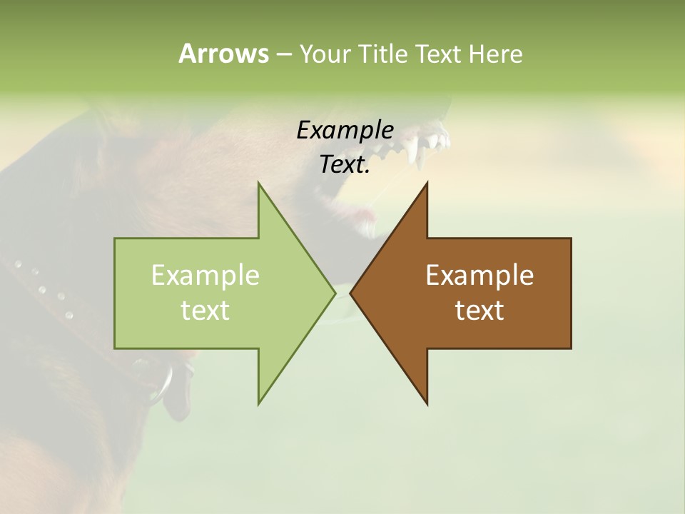 Angry Ear Savage PowerPoint Template