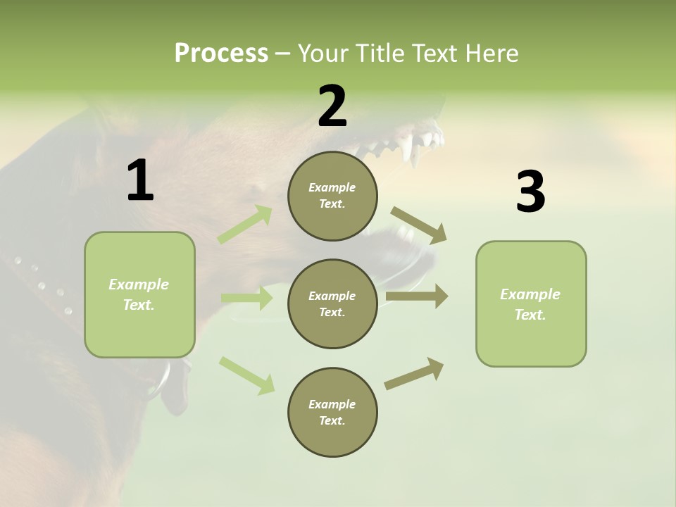 Angry Ear Savage PowerPoint Template