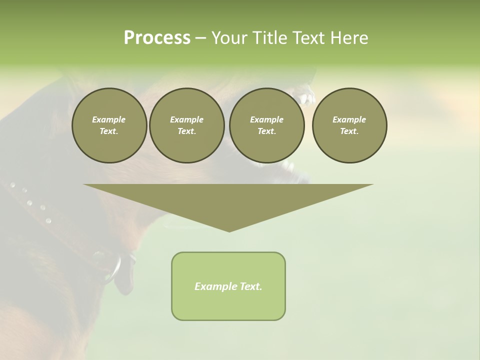 Angry Ear Savage PowerPoint Template