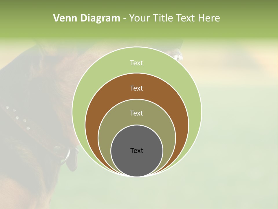 Angry Ear Savage PowerPoint Template