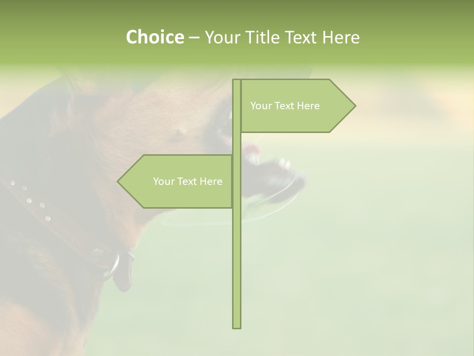 Angry Ear Savage PowerPoint Template