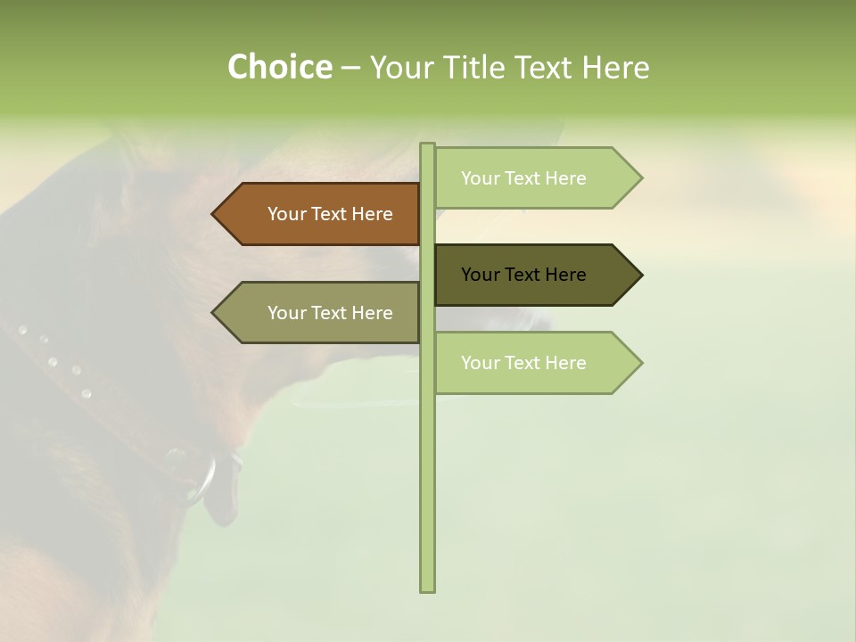 Angry Ear Savage PowerPoint Template