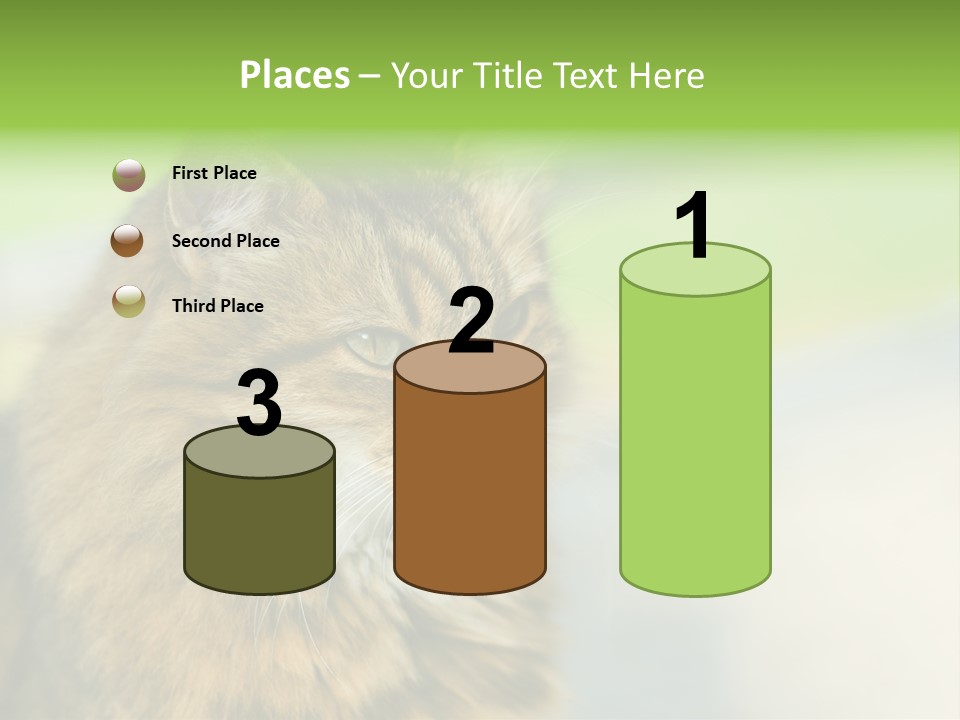 Habitat Veterinary Look PowerPoint Template