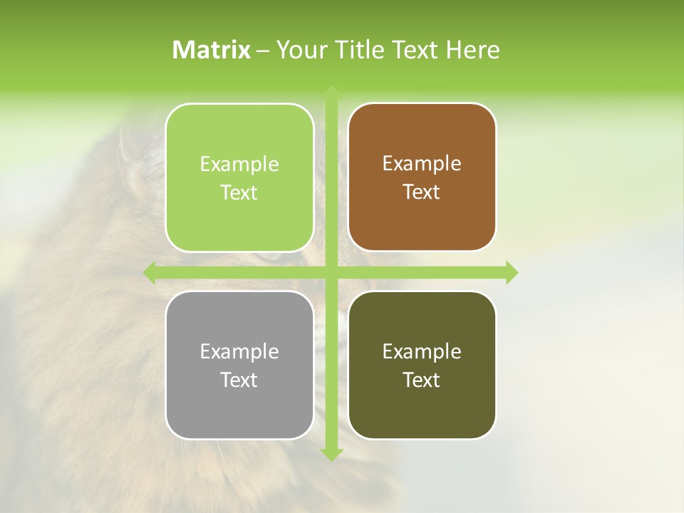 Habitat Veterinary Look PowerPoint Template