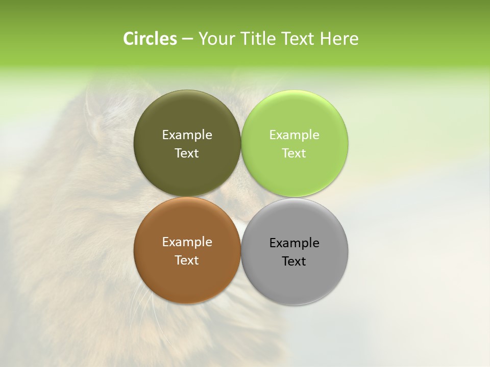 Habitat Veterinary Look PowerPoint Template