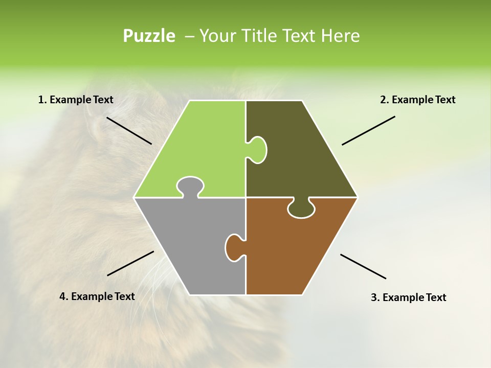 Habitat Veterinary Look PowerPoint Template