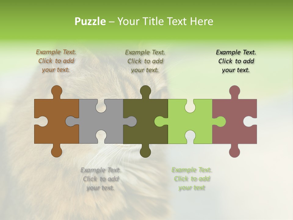 Habitat Veterinary Look PowerPoint Template