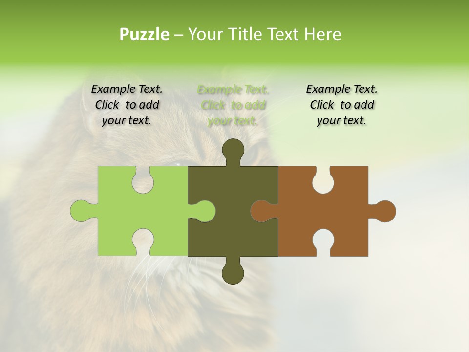 Habitat Veterinary Look PowerPoint Template