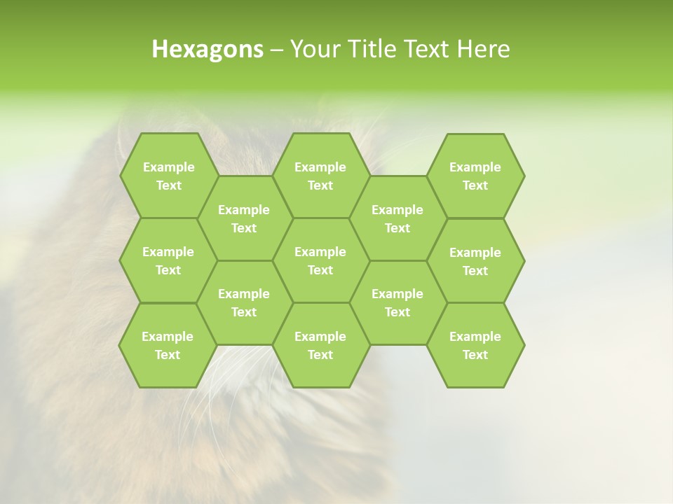 Habitat Veterinary Look PowerPoint Template