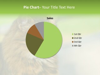 Habitat Veterinary Look PowerPoint Template