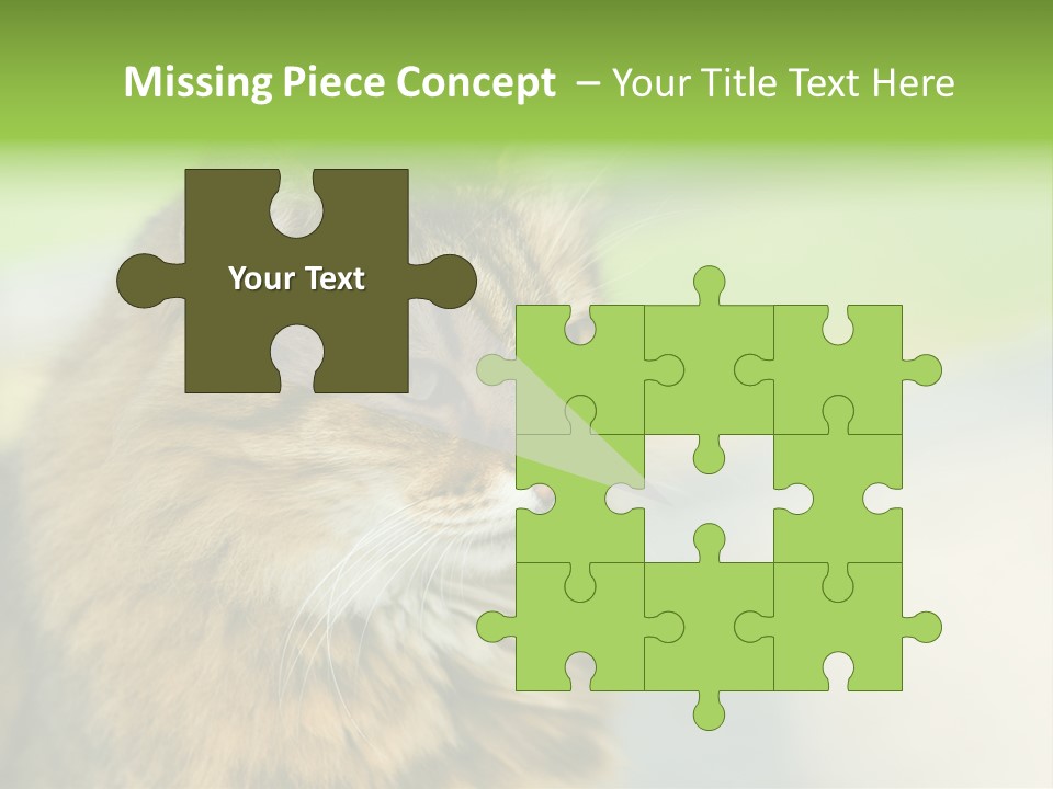 Habitat Veterinary Look PowerPoint Template