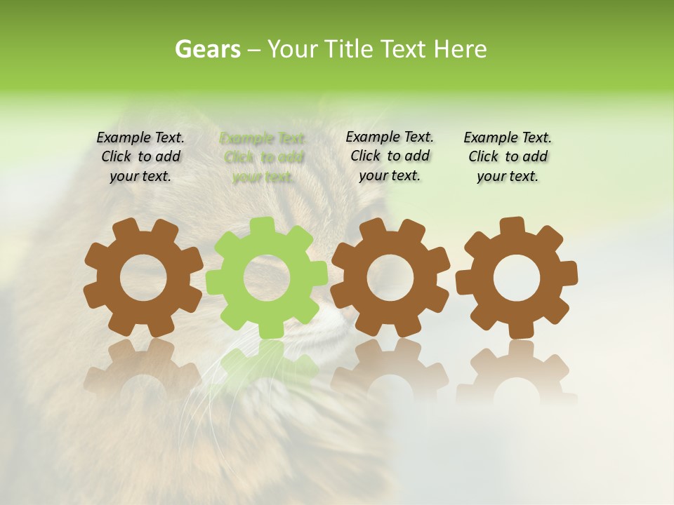 Habitat Veterinary Look PowerPoint Template