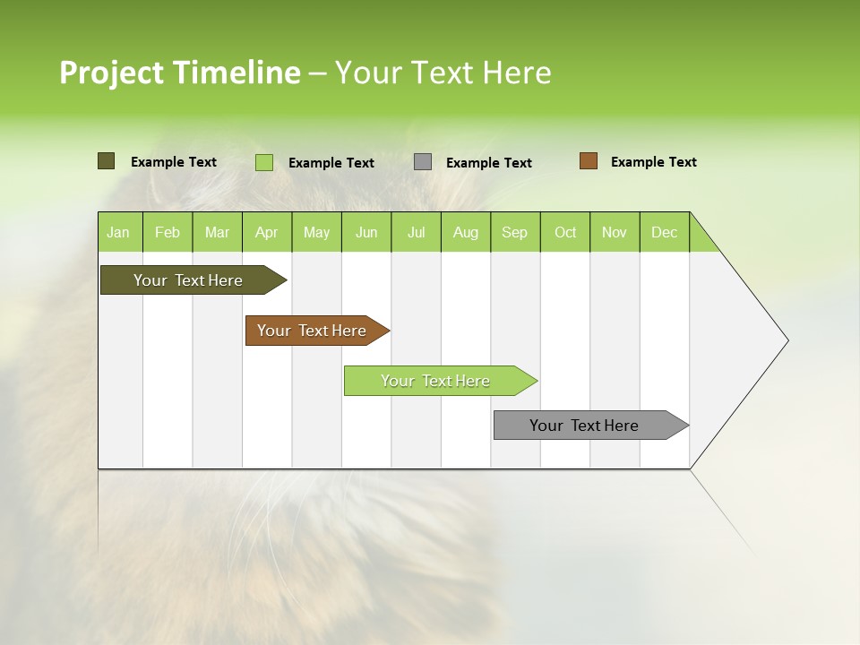 Habitat Veterinary Look PowerPoint Template