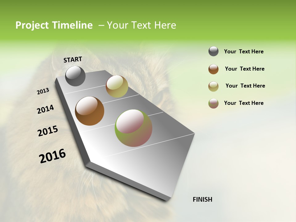Habitat Veterinary Look PowerPoint Template