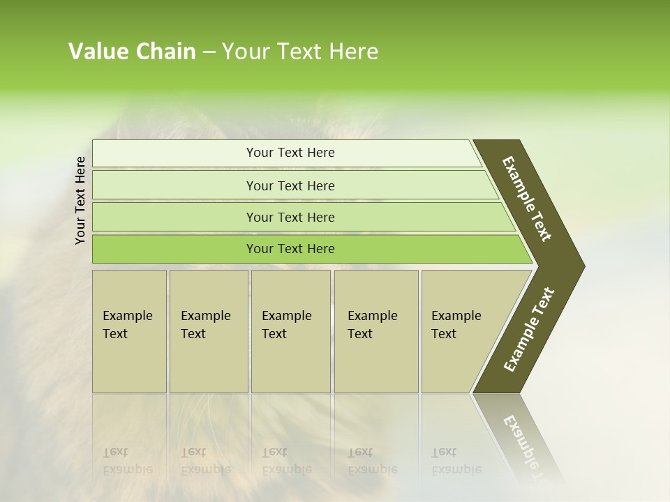 Habitat Veterinary Look PowerPoint Template