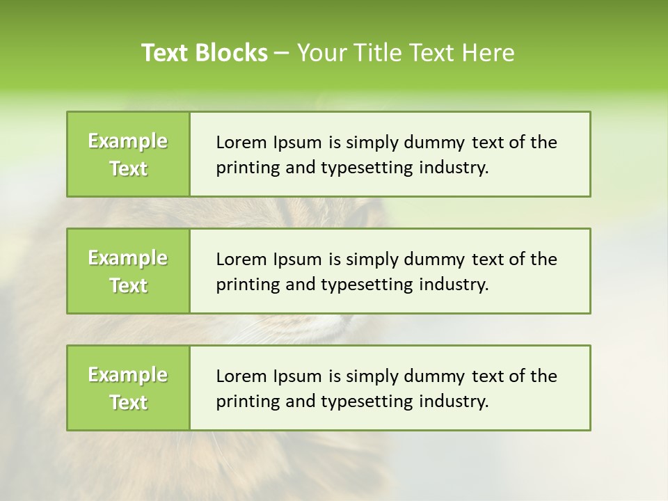 Habitat Veterinary Look PowerPoint Template