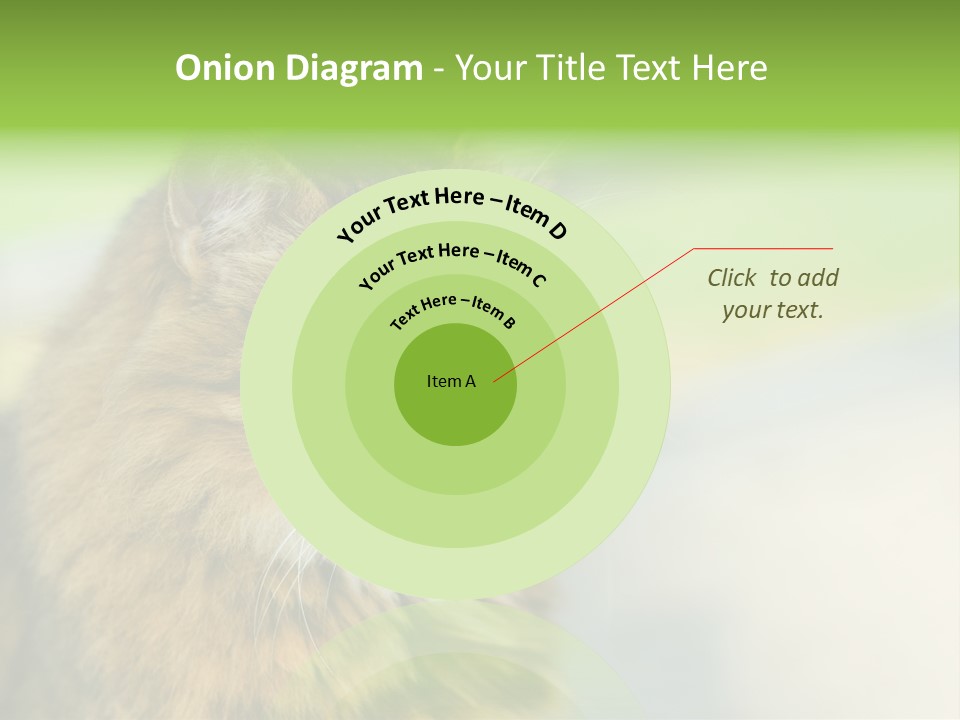 Habitat Veterinary Look PowerPoint Template