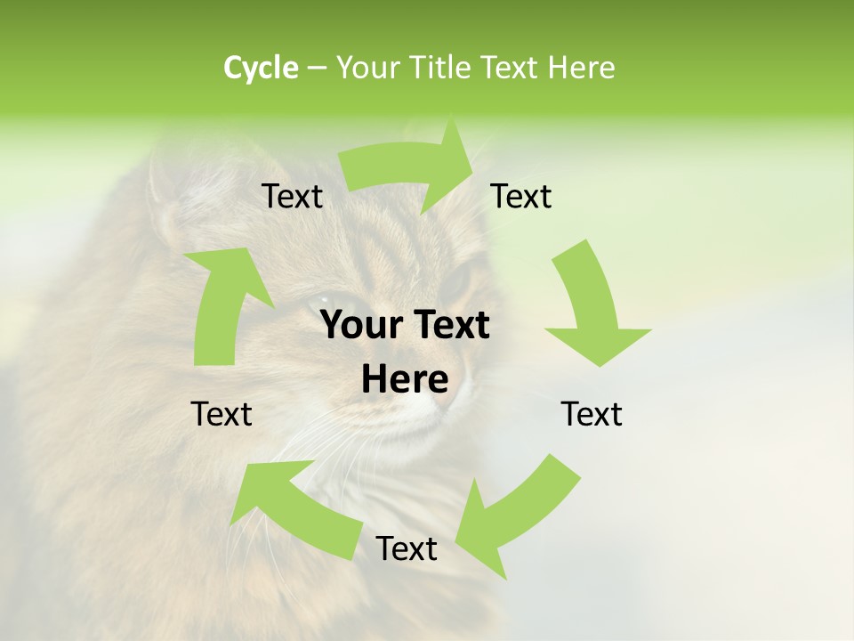 Habitat Veterinary Look PowerPoint Template