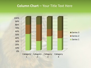 Habitat Veterinary Look PowerPoint Template