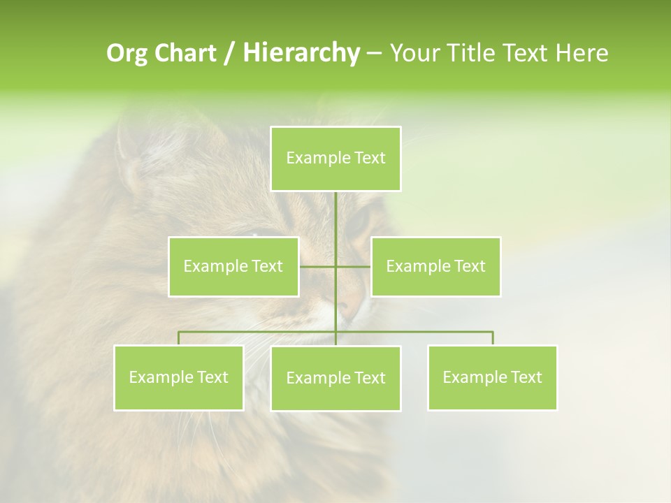 Habitat Veterinary Look PowerPoint Template