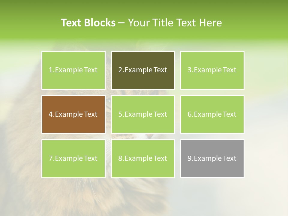 Habitat Veterinary Look PowerPoint Template