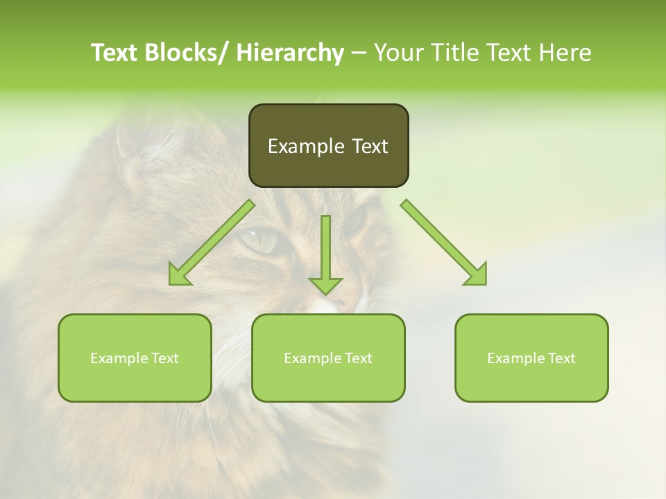 Habitat Veterinary Look PowerPoint Template