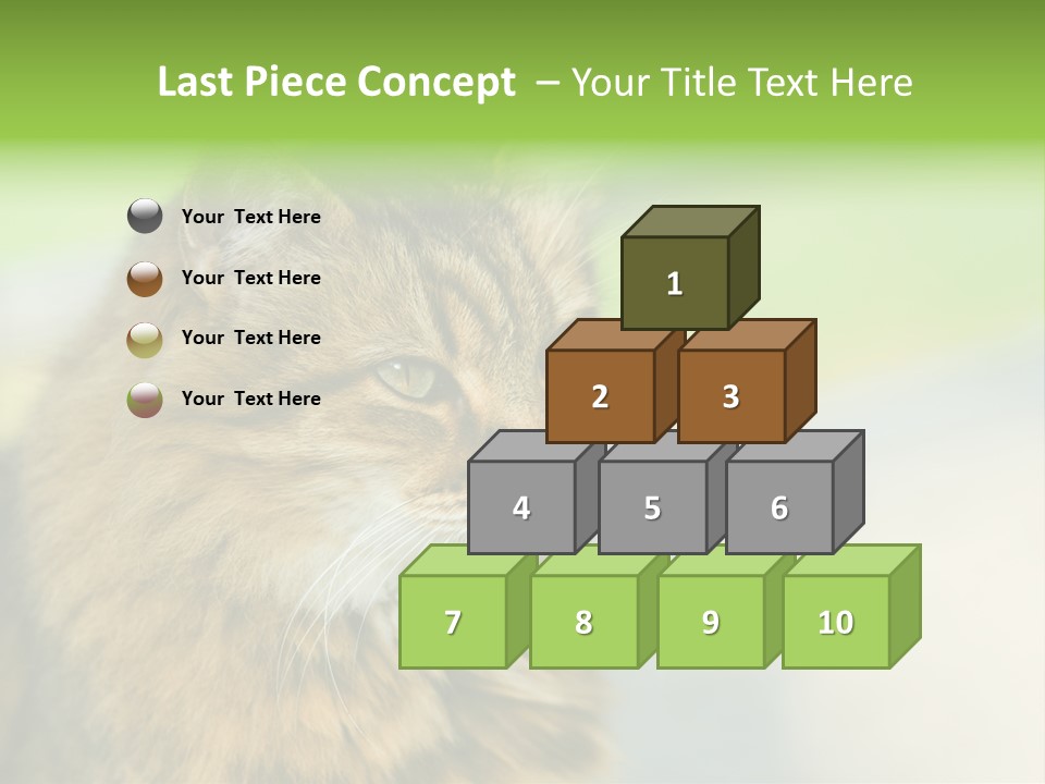 Habitat Veterinary Look PowerPoint Template