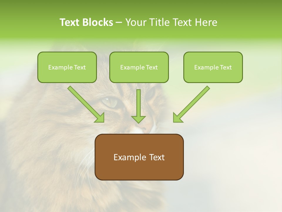 Habitat Veterinary Look PowerPoint Template