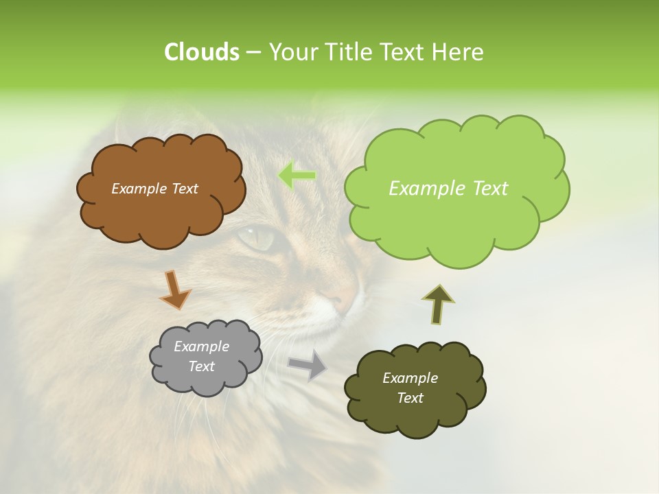 Habitat Veterinary Look PowerPoint Template