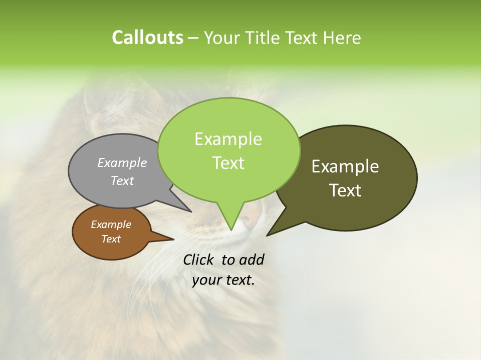 Habitat Veterinary Look PowerPoint Template