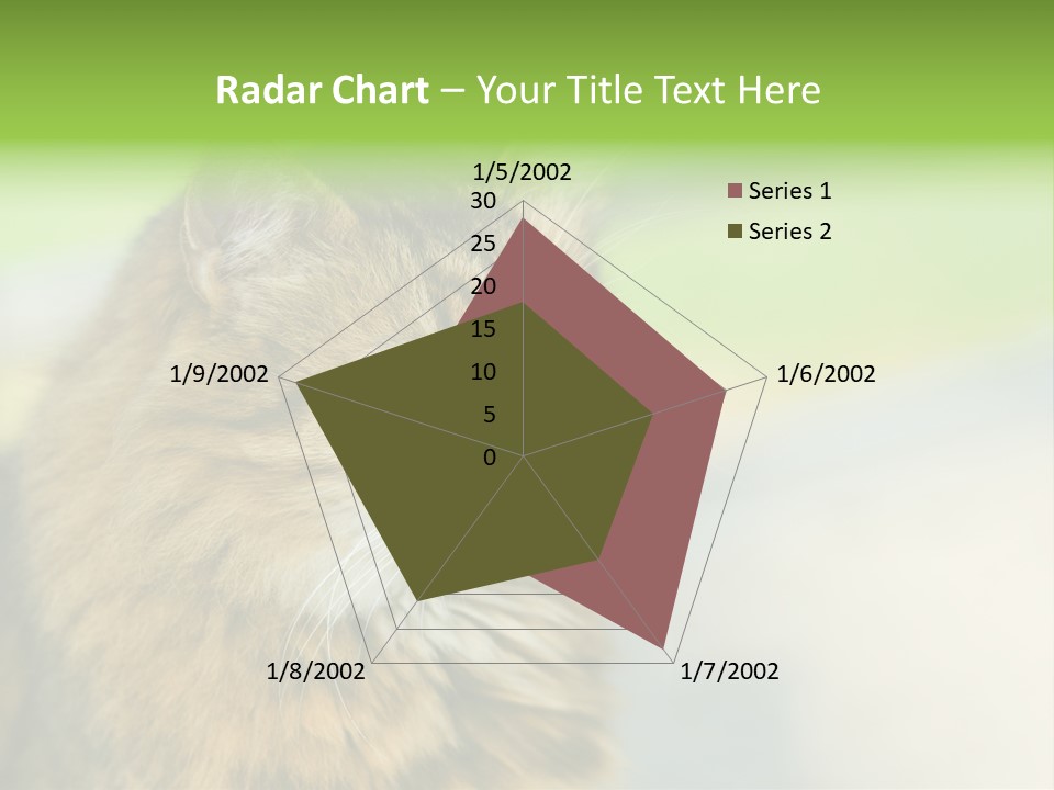 Habitat Veterinary Look PowerPoint Template