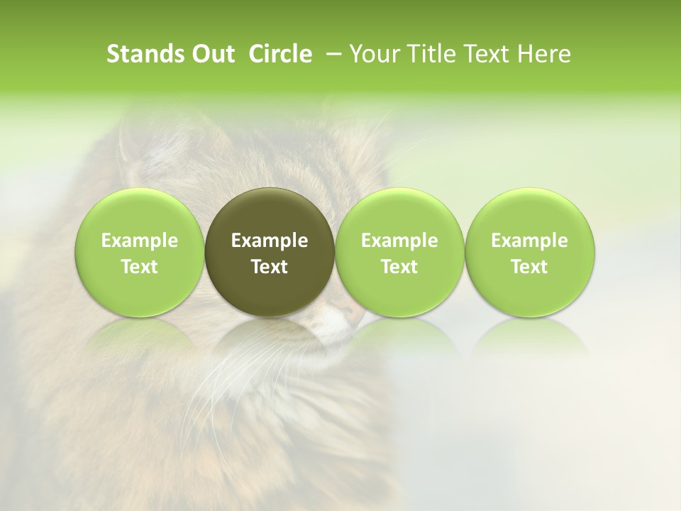 Habitat Veterinary Look PowerPoint Template