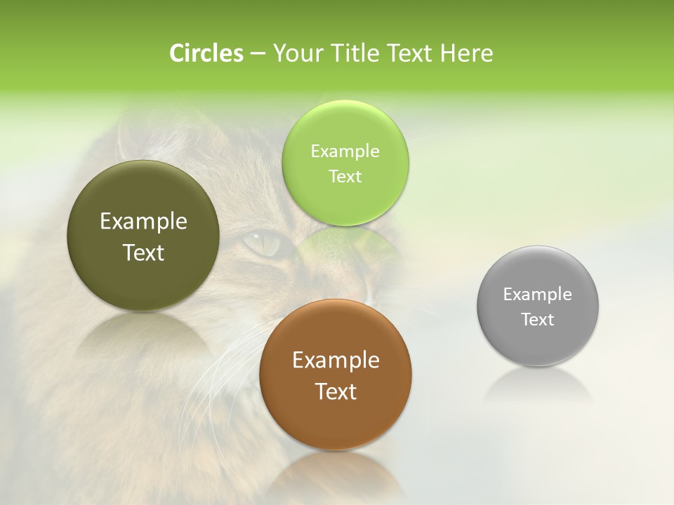 Habitat Veterinary Look PowerPoint Template