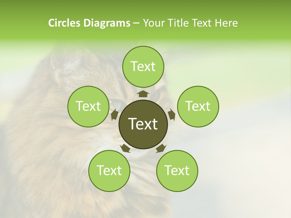 Habitat Veterinary Look PowerPoint Template