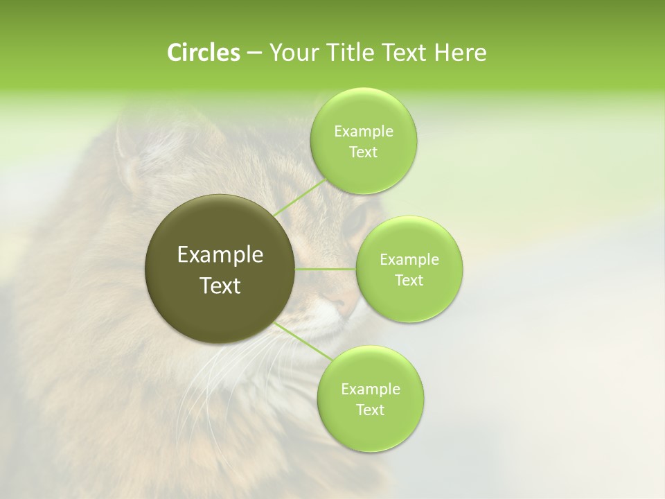 Habitat Veterinary Look PowerPoint Template